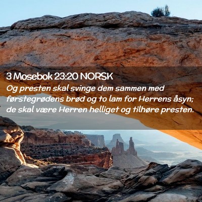 Picture 02 - 3 Mosebok 23:20 NORSK - Og presten skal svinge dem sammen med - Bible Verse Picture