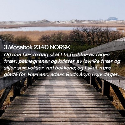 Picture 02 - 3 Mosebok 23:40 NORSK - Og den første dag skal I ta frukter av fagre - Bible Verse Picture