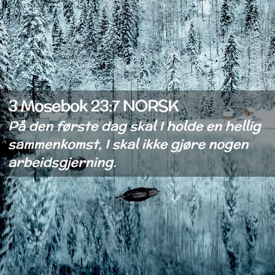 Picture 02 - 3 Mosebok 23:7 NORSK - På den første dag skal I holde en hellig - Bible Verse Picture