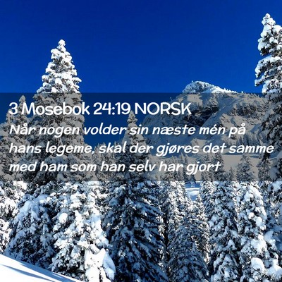 Picture 02 - 3 Mosebok 24:19 NORSK - Når nogen volder sin næste mén på hans - Bible Verse Picture