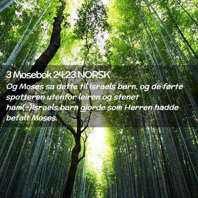Picture 02 - 3 Mosebok 24:23 NORSK - Og Moses sa dette til Israels barn, og de førte - Bible Verse Picture