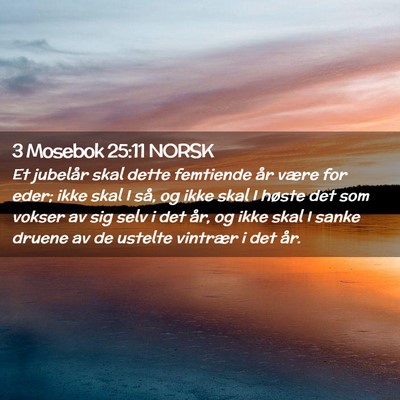 Picture 02 - 3 Mosebok 25:11 NORSK - Et jubelår skal dette femtiende år være for - Bible Verse Picture