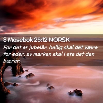 Picture 02 - 3 Mosebok 25:12 NORSK - For det er jubelår, hellig skal det være for - Bible Verse Picture