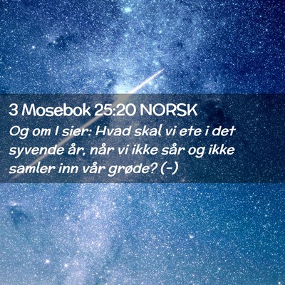 Picture 02 - 3 Mosebok 25:20 NORSK - Og om I sier: Hvad skal vi ete i det syvende år, - Bible Verse Picture