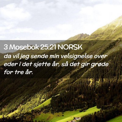 Picture 02 - 3 Mosebok 25:21 NORSK - da vil jeg sende min velsignelse over eder i det - Bible Verse Picture