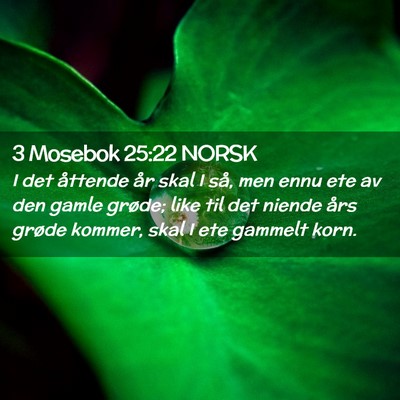 Picture 02 - 3 Mosebok 25:22 NORSK - I det åttende år skal I så, men ennu ete av - Bible Verse Picture