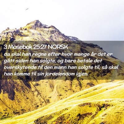 Picture 02 - 3 Mosebok 25:27 NORSK - da skal han regne efter hvor mange år det er - Bible Verse Picture