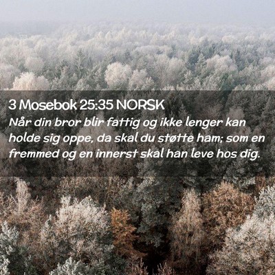 Picture 02 - 3 Mosebok 25:35 NORSK - Når din bror blir fattig og ikke lenger kan - Bible Verse Picture