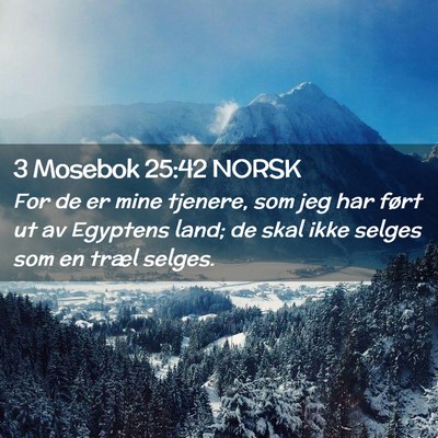 Picture 02 - 3 Mosebok 25:42 NORSK - For de er mine tjenere, som jeg har ført ut av - Bible Verse Picture