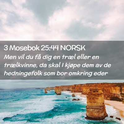 Picture 02 - 3 Mosebok 25:44 NORSK - Men vil du få dig en træl eller en trælkvinne, - Bible Verse Picture
