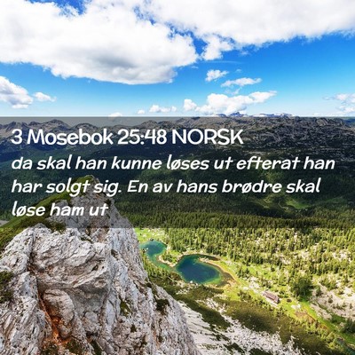 Picture 02 - 3 Mosebok 25:48 NORSK - da skal han kunne løses ut efterat han har solgt - Bible Verse Picture