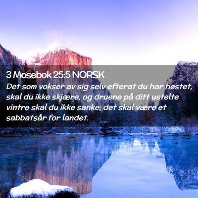 Picture 02 - 3 Mosebok 25:5 NORSK - Det som vokser av sig selv efterat du har - Bible Verse Picture