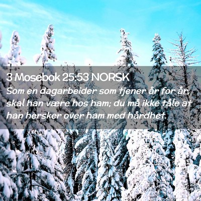 Picture 02 - 3 Mosebok 25:53 NORSK - Som en dagarbeider som tjener år for år, skal - Bible Verse Picture