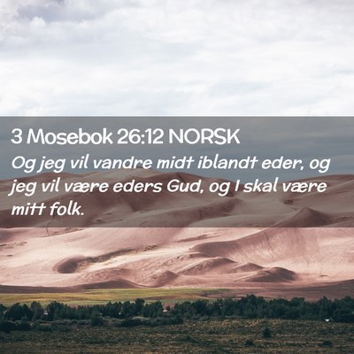 Picture 02 - 3 Mosebok 26:12 NORSK - Og jeg vil vandre midt iblandt eder, og jeg vil - Bible Verse Picture
