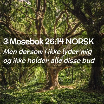 Picture 02 - 3 Mosebok 26:14 NORSK - Men dersom I ikke lyder mig og ikke holder alle - Bible Verse Picture