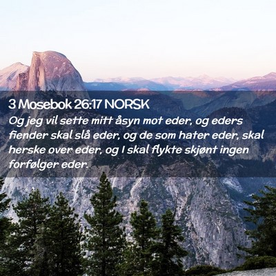 Picture 02 - 3 Mosebok 26:17 NORSK - Og jeg vil sette mitt åsyn mot eder, og eders - Bible Verse Picture