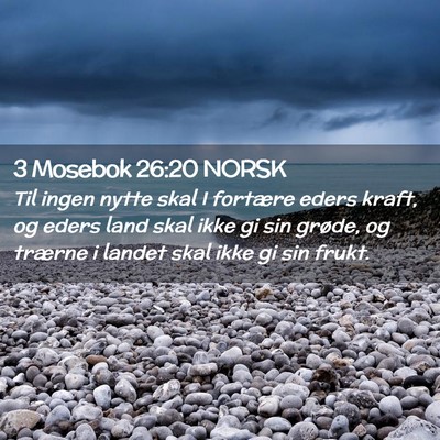 Picture 02 - 3 Mosebok 26:20 NORSK - Til ingen nytte skal I fortære eders kraft, og - Bible Verse Picture
