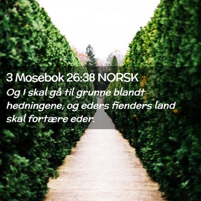 Picture 02 - 3 Mosebok 26:38 NORSK - Og I skal gå til grunne blandt hedningene, og - Bible Verse Picture