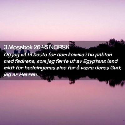 Picture 02 - 3 Mosebok 26:45 NORSK - Og jeg vil til beste for dem komme i hu pakten - Bible Verse Picture