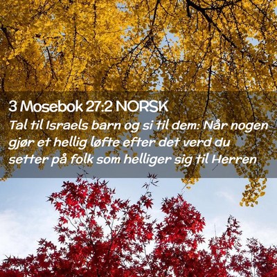 Picture 02 - 3 Mosebok 27:2 NORSK - Tal til Israels barn og si til dem: Når nogen - Bible Verse Picture