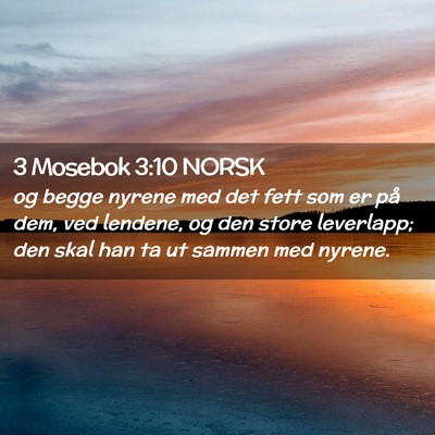 Picture 02 - 3 Mosebok 3:10 NORSK - og begge nyrene med det fett som er på dem, ved - Bible Verse Picture