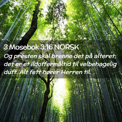 Picture 02 - 3 Mosebok 3:16 NORSK - Og presten skal brenne det på alteret; det er et - Bible Verse Picture