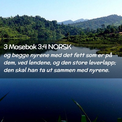 Picture 02 - 3 Mosebok 3:4 NORSK - og begge nyrene med det fett som er på dem, ved - Bible Verse Picture