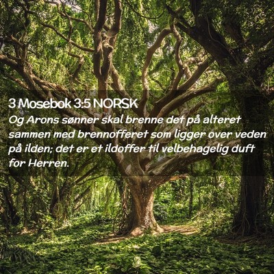 Picture 02 - 3 Mosebok 3:5 NORSK - Og Arons sønner skal brenne det på alteret - Bible Verse Picture