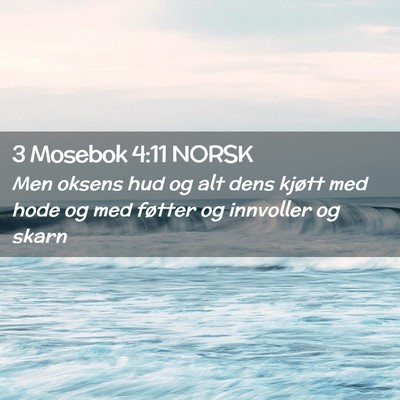 Picture 02 - 3 Mosebok 4:11 NORSK - Men oksens hud og alt dens kjøtt med hode og med - Bible Verse Picture
