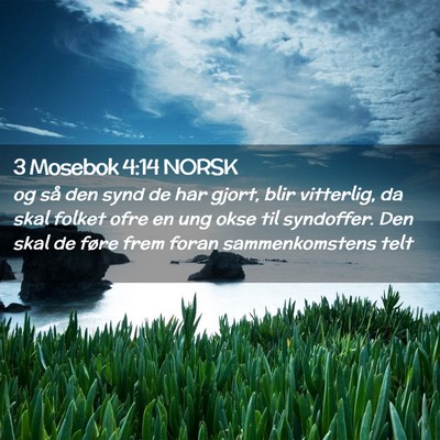 Picture 02 - 3 Mosebok 4:14 NORSK - og så den synd de har gjort, blir vitterlig, da - Bible Verse Picture