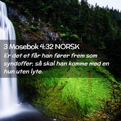Picture 02 - 3 Mosebok 4:32 NORSK - Er det et får han fører frem som syndoffer, så - Bible Verse Picture