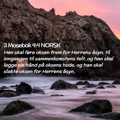 Picture 02 - 3 Mosebok 4:4 NORSK - Han skal føre oksen frem for Herrens åsyn, til - Bible Verse Picture