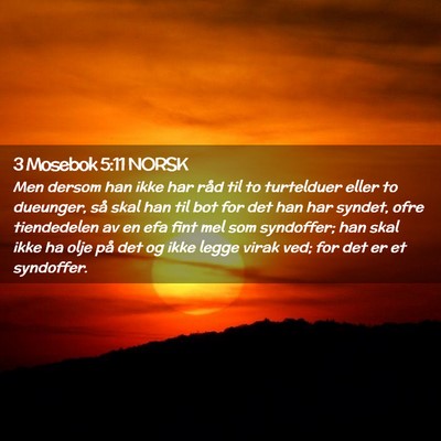 Picture 02 - 3 Mosebok 5:11 NORSK - Men dersom han ikke har råd til to turtelduer - Bible Verse Picture