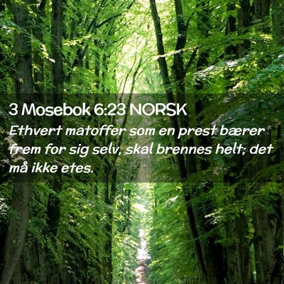 Picture 02 - 3 Mosebok 6:23 NORSK - Ethvert matoffer som en prest bærer frem for sig - Bible Verse Picture