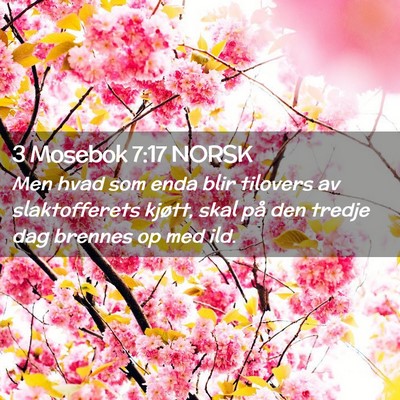 Picture 02 - 3 Mosebok 7:17 NORSK - Men hvad som enda blir tilovers av slaktofferets - Bible Verse Picture