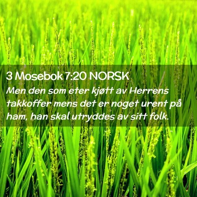 Picture 02 - 3 Mosebok 7:20 NORSK - Men den som eter kjøtt av Herrens takkoffer mens - Bible Verse Picture