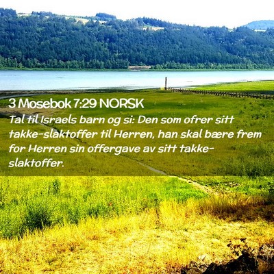 Picture 02 - 3 Mosebok 7:29 NORSK - Tal til Israels barn og si: Den som ofrer sitt - Bible Verse Picture