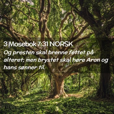 Picture 02 - 3 Mosebok 7:31 NORSK - Og presten skal brenne fettet på alteret; men - Bible Verse Picture