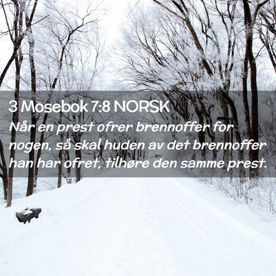 Picture 02 - 3 Mosebok 7:8 NORSK - Når en prest ofrer brennoffer for nogen, så - Bible Verse Picture