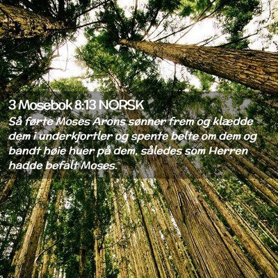 Picture 02 - 3 Mosebok 8:13 NORSK - Så førte Moses Arons sønner frem og klædde - Bible Verse Picture