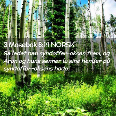 Picture 02 - 3 Mosebok 8:14 NORSK - Så ledet han syndoffer-oksen frem, og Aron og - Bible Verse Picture