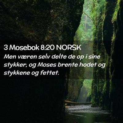 Picture 02 - 3 Mosebok 8:20 NORSK - Men væren selv delte de op i sine stykker, og - Bible Verse Picture