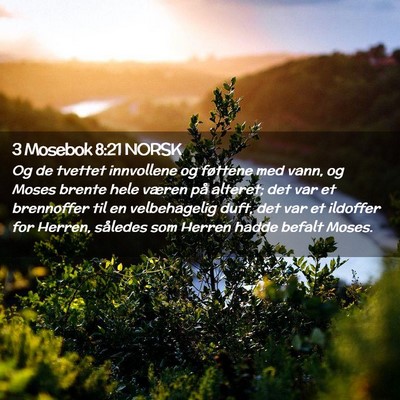 Picture 02 - 3 Mosebok 8:21 NORSK - Og de tvettet innvollene og føttene med vann, og - Bible Verse Picture