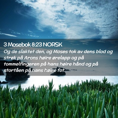 Picture 02 - 3 Mosebok 8:23 NORSK - Og de slaktet den, og Moses tok av dens blod og - Bible Verse Picture