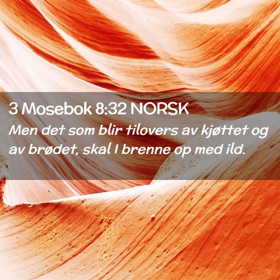 Picture 02 - 3 Mosebok 8:32 NORSK - Men det som blir tilovers av kjøttet og av - Bible Verse Picture