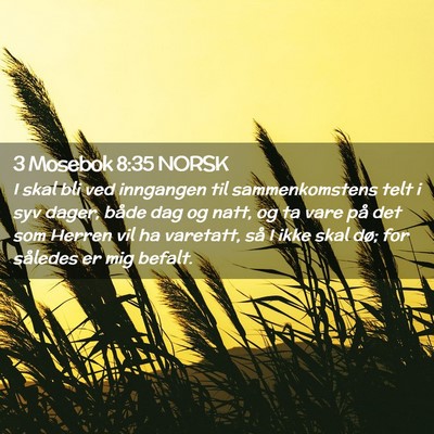 Picture 02 - 3 Mosebok 8:35 NORSK - I skal bli ved inngangen til sammenkomstens telt - Bible Verse Picture