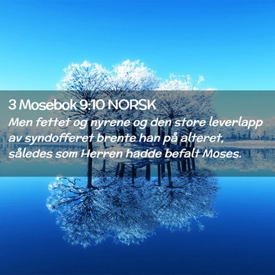 Picture 02 - 3 Mosebok 9:10 NORSK - Men fettet og nyrene og den store leverlapp av - Bible Verse Picture