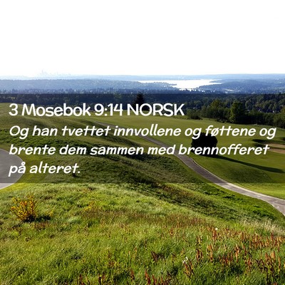 Picture 02 - 3 Mosebok 9:14 NORSK - Og han tvettet innvollene og føttene og brente - Bible Verse Picture