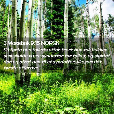 Picture 02 - 3 Mosebok 9:15 NORSK - Så førte han folkets offer frem; han tok bukken - Bible Verse Picture