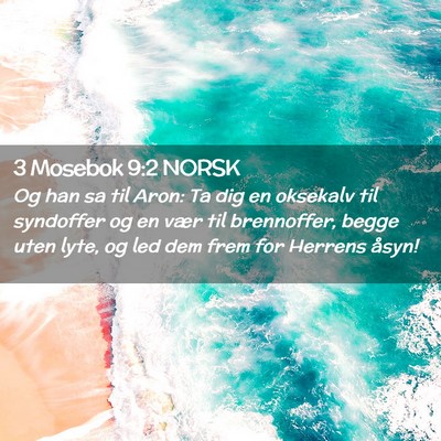 Picture 02 - 3 Mosebok 9:2 NORSK - Og han sa til Aron: Ta dig en oksekalv til - Bible Verse Picture